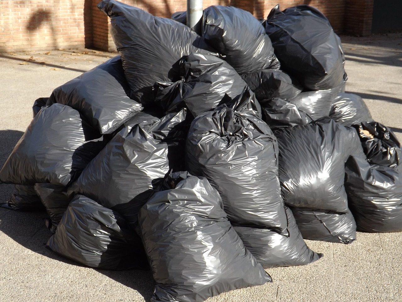 Bags of trash
